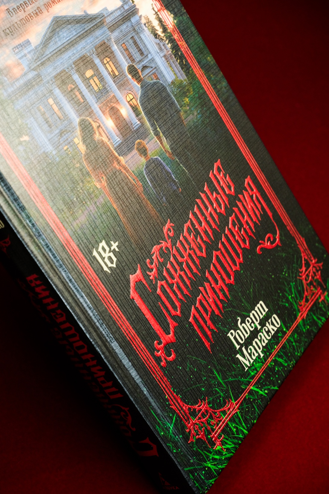 Промо материал к книге "Сожженные приношения" №7