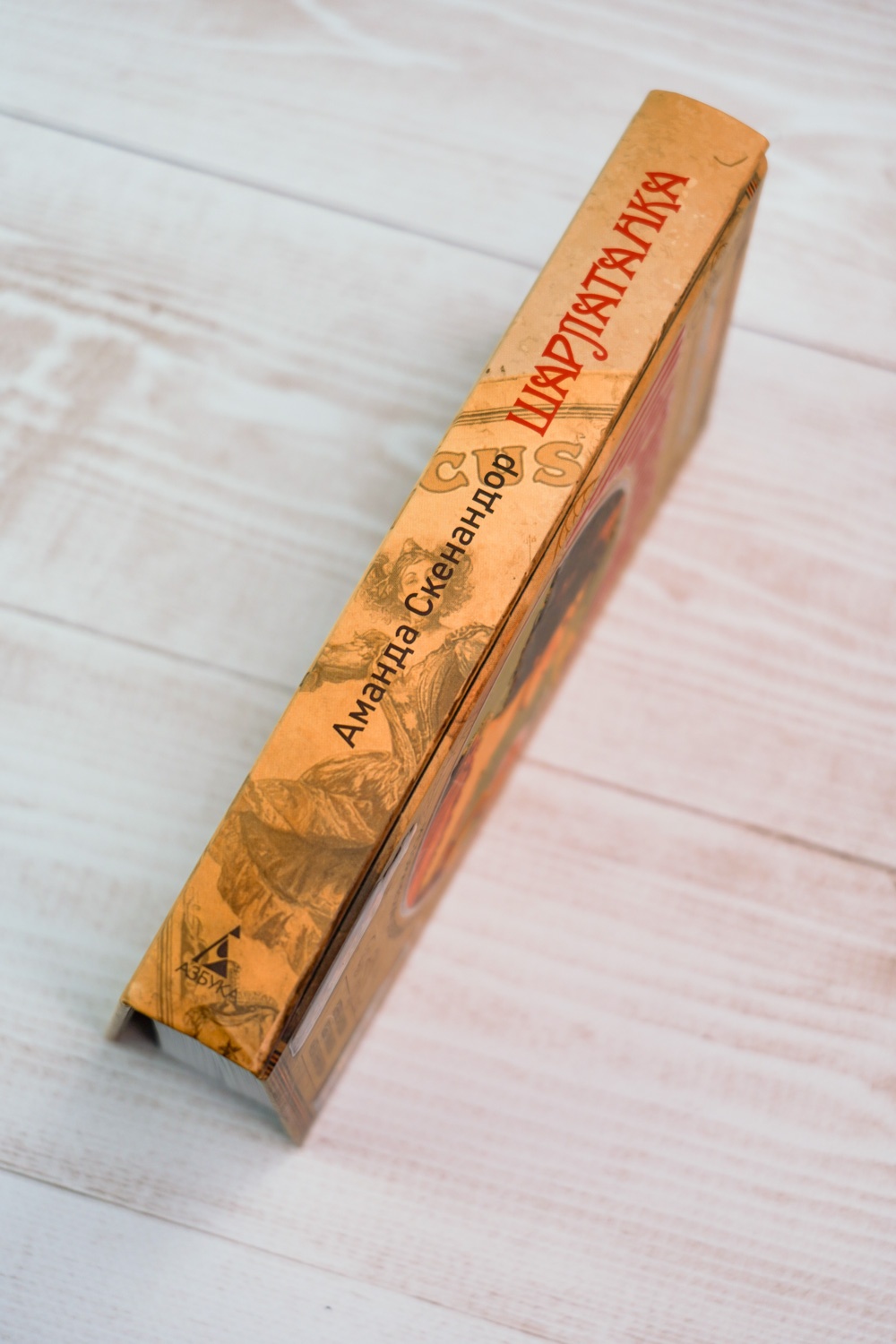 Промо материал к книге "Шарлатанка" №4