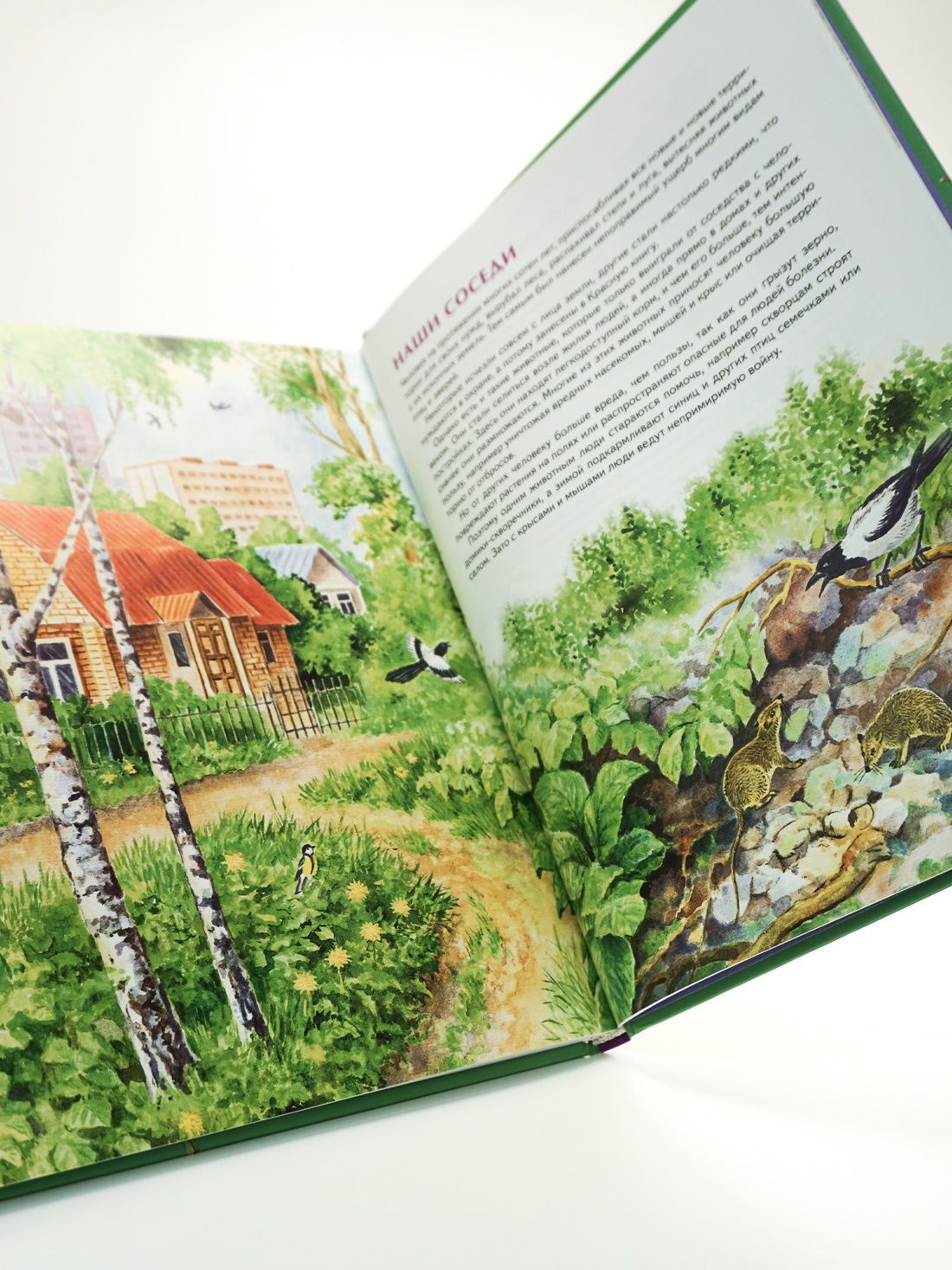 Промо материал к книге "Природа России. Иллюстрированная энциклопедия" №3