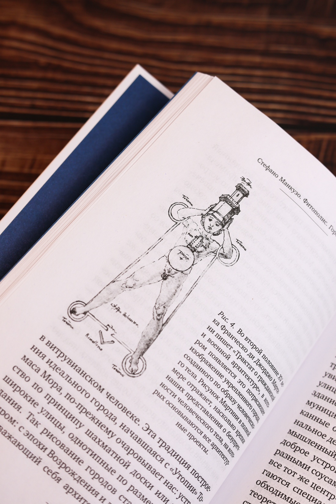 Промо материал к книге "Фитополис. Город жизни" №9