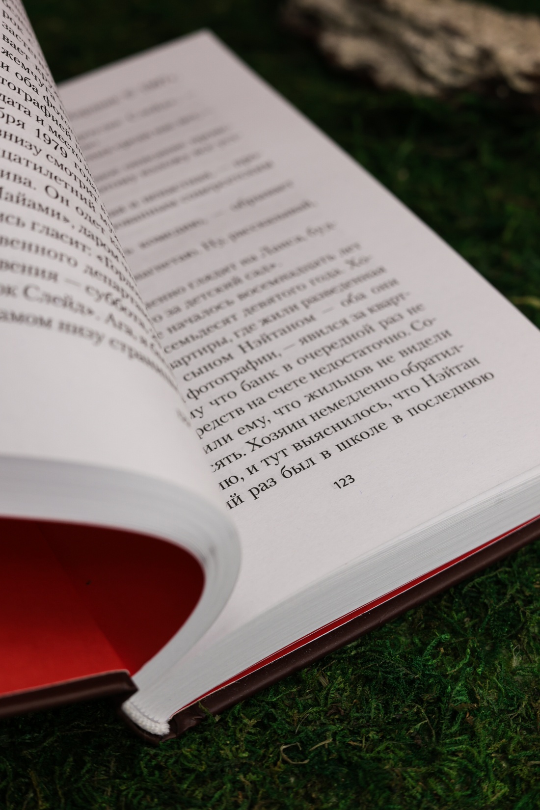 Промо материал к книге "Голодный дом (Настроение читать)" №13