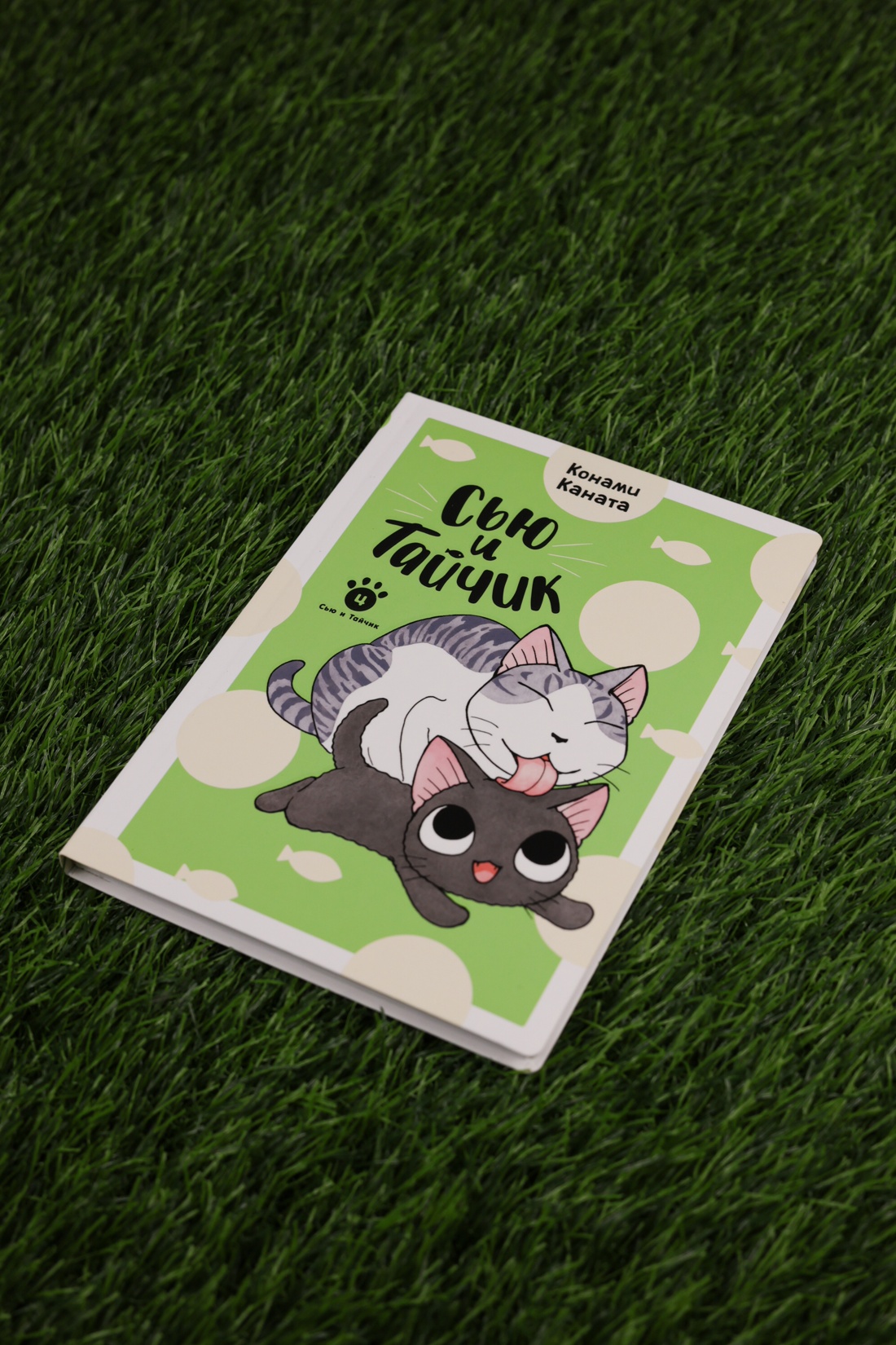 Промо материал к книге "Сью и Тайчик. Книга 4" №5