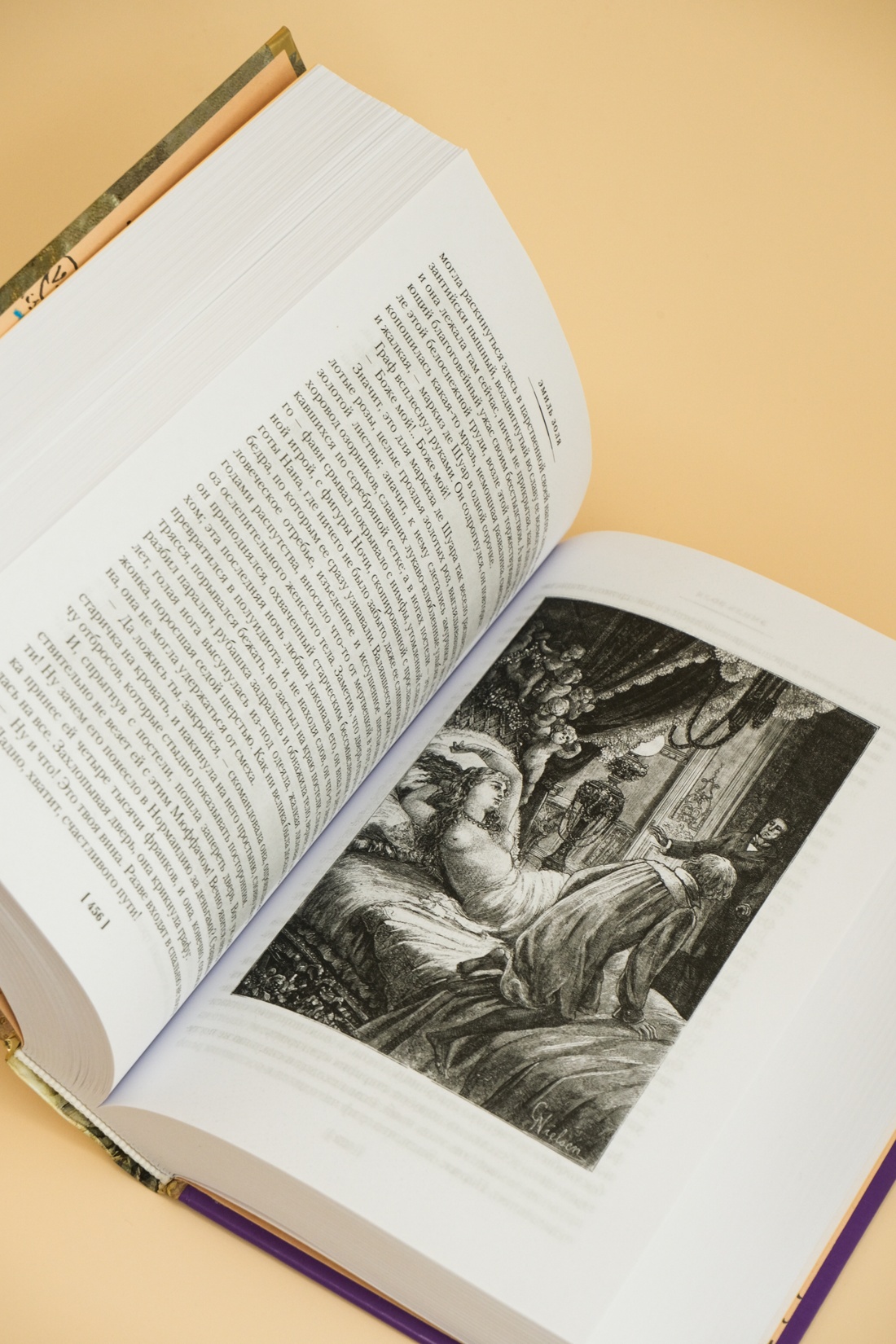 Промо материал к книге "Нана. Земля" №11