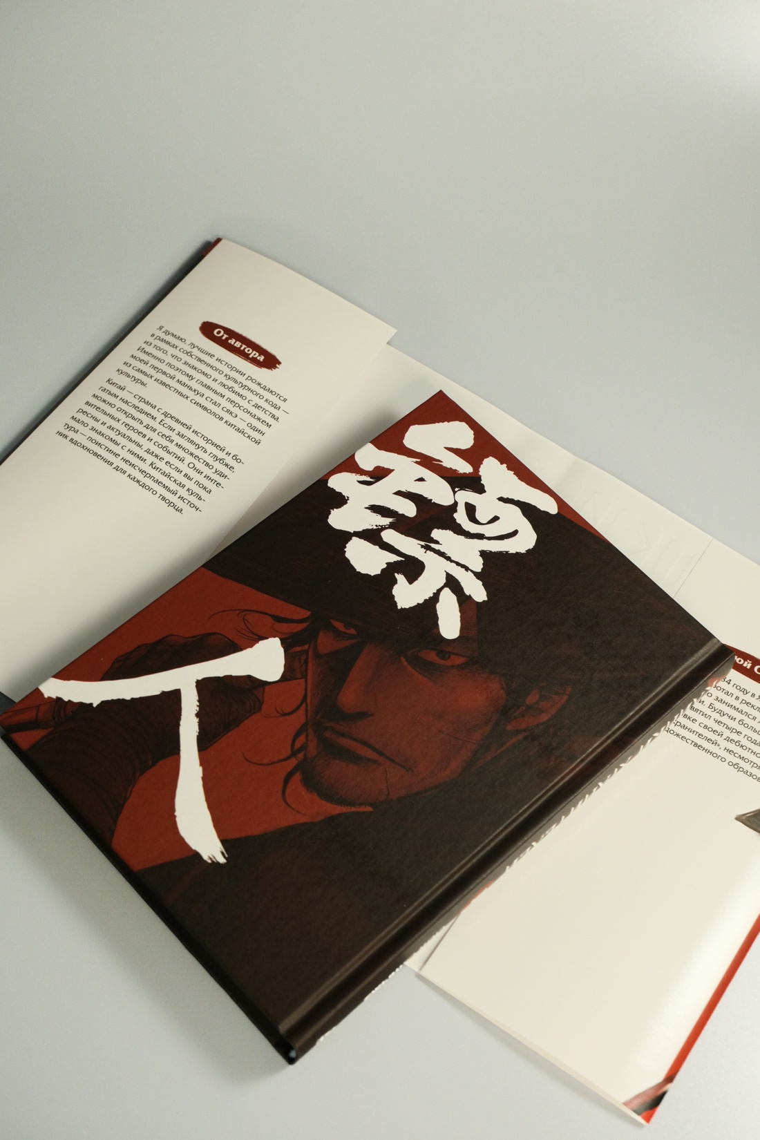 Промо материал к книге "Клинки хранителей. Книга 1" №14
