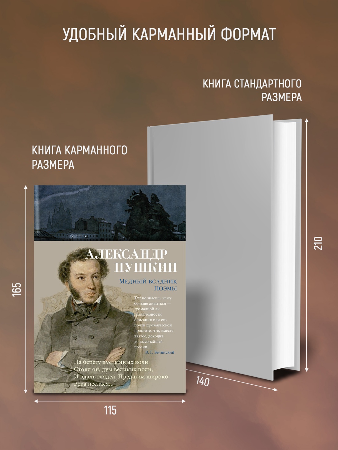 Промо материал к книге "Медный всадник. Поэмы" №2