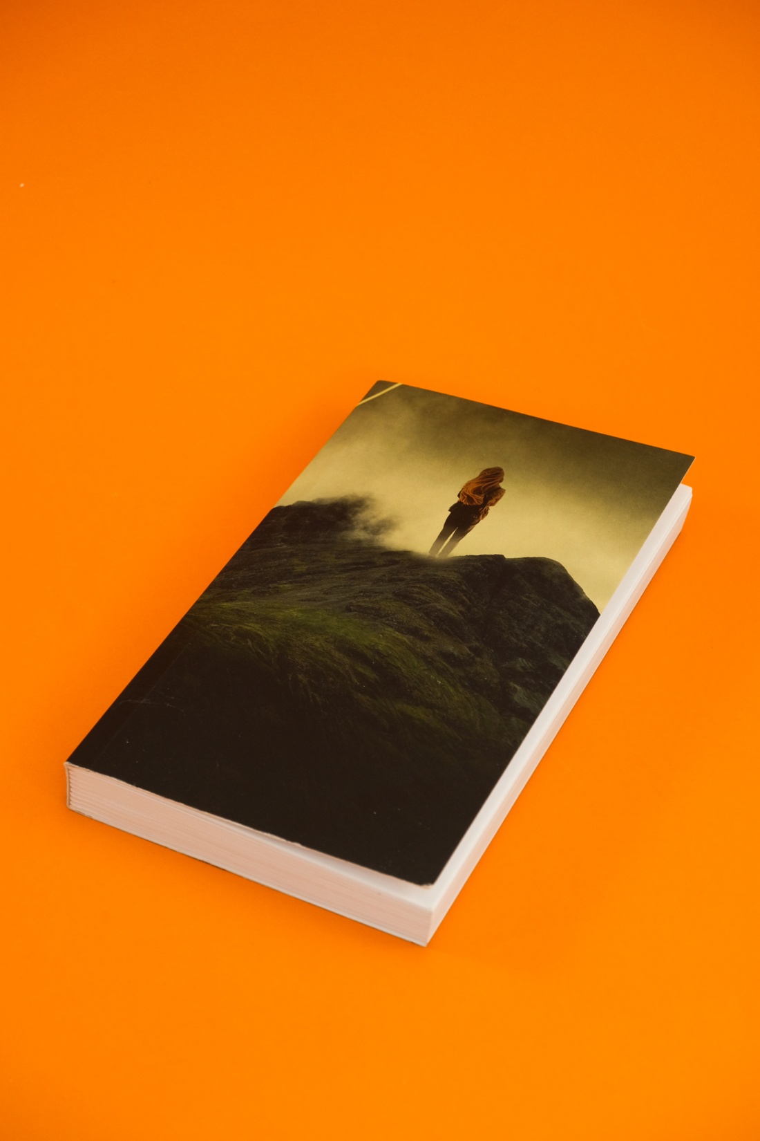 Промо материал к книге "Грета" №10