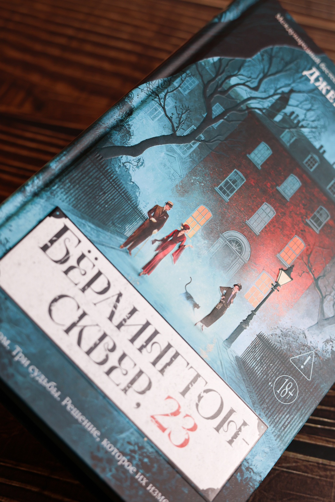 Промо материал к книге "Бёрлингтон-сквер, 23" №13