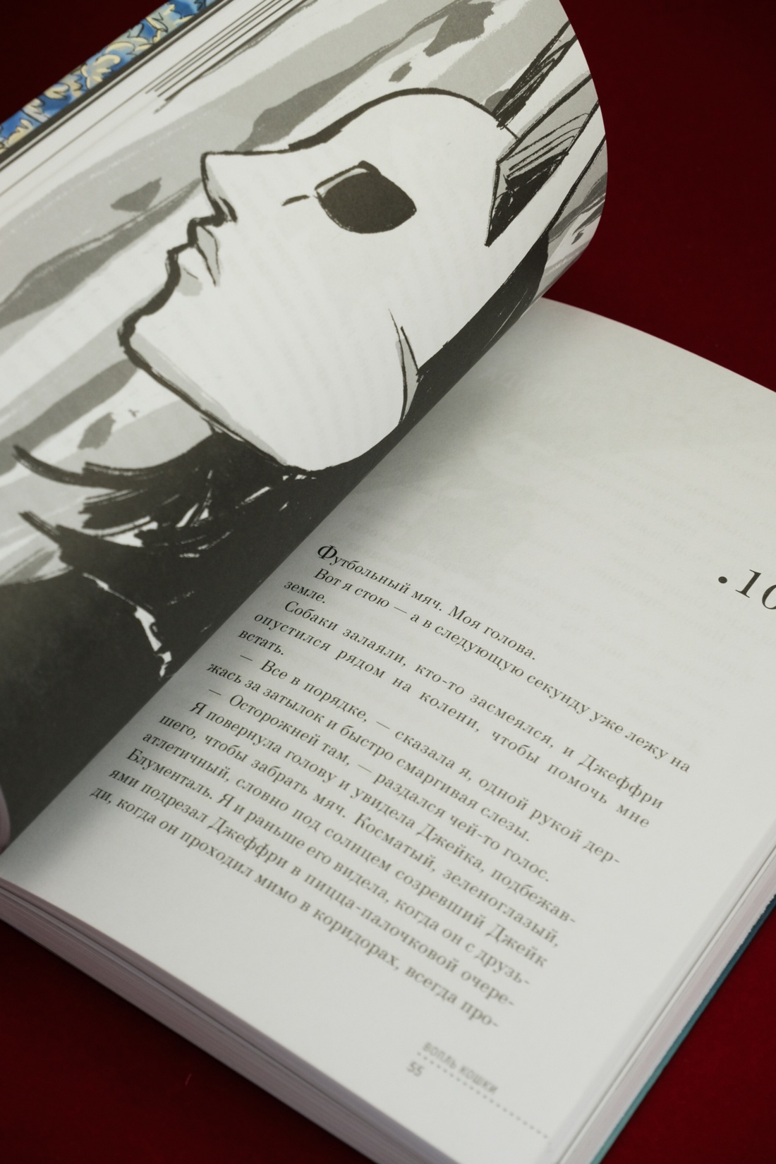 Промо материал к книге "Вопль кошки" №14
