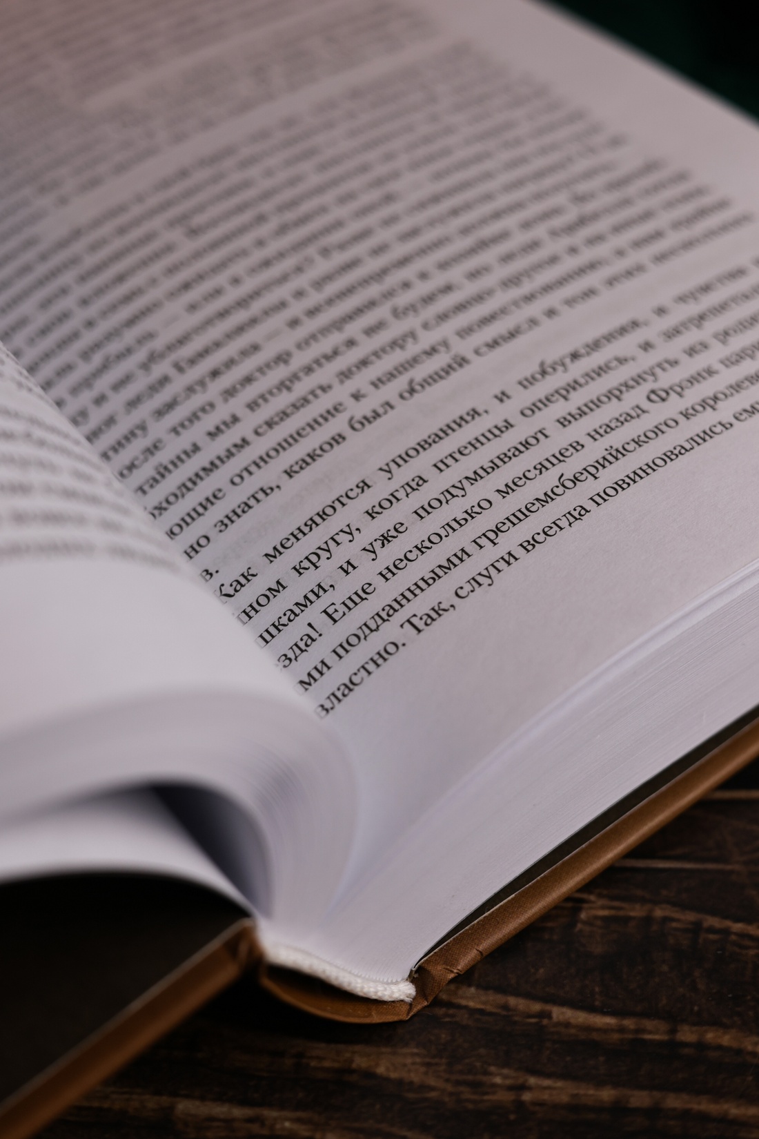 Промо материал к книге "Барсетширские хроники. Книга 2. Доктор Торн" №10