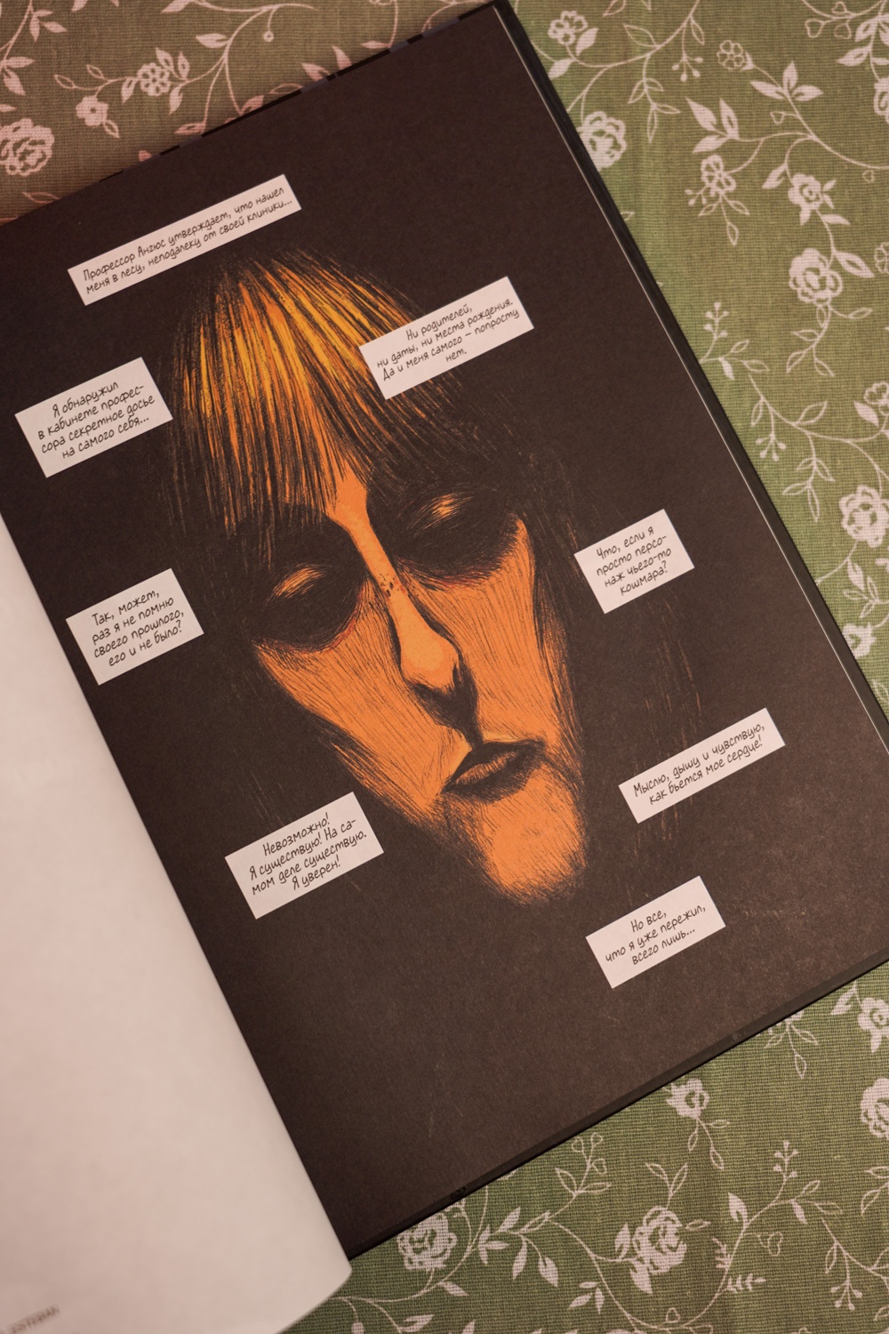 Промо материал к книге "Охотники за кошмарами. Книга 2. Досье 3: Эстебан; Досье 4: Мелиссандра" №16