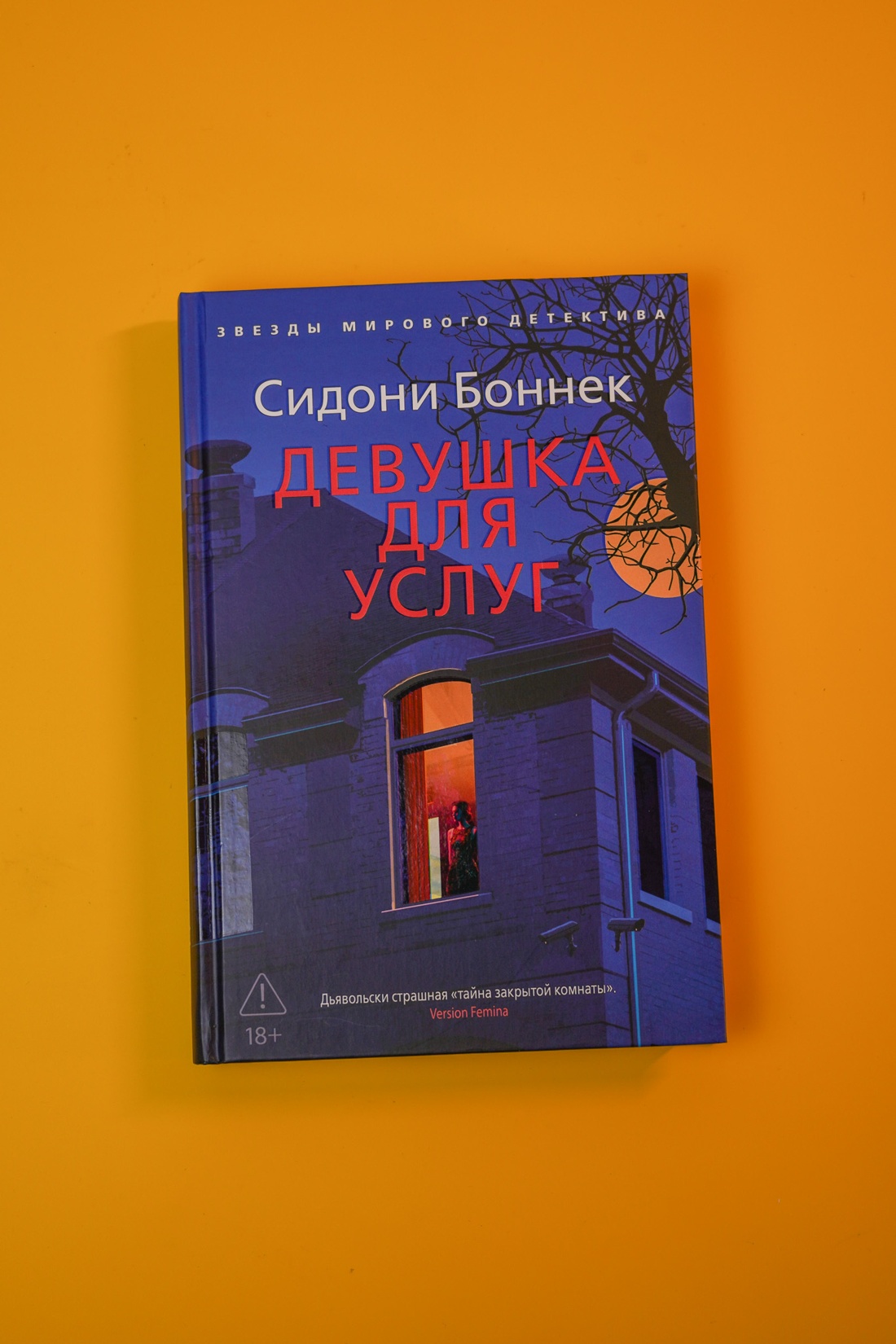 Промо материал к книге "Девушка для услуг" №3