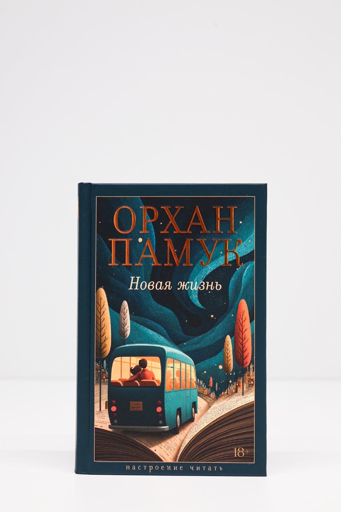 Промо материал к книге "Новая жизнь (Настроение читать)" №4