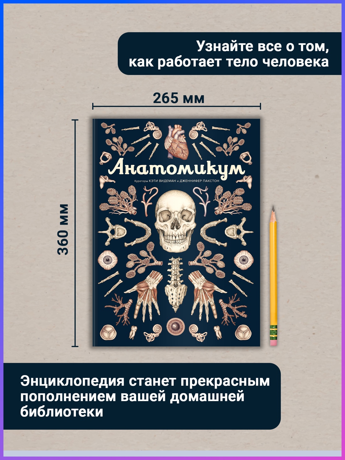 Промо материал к книге "Анатомикум" №2