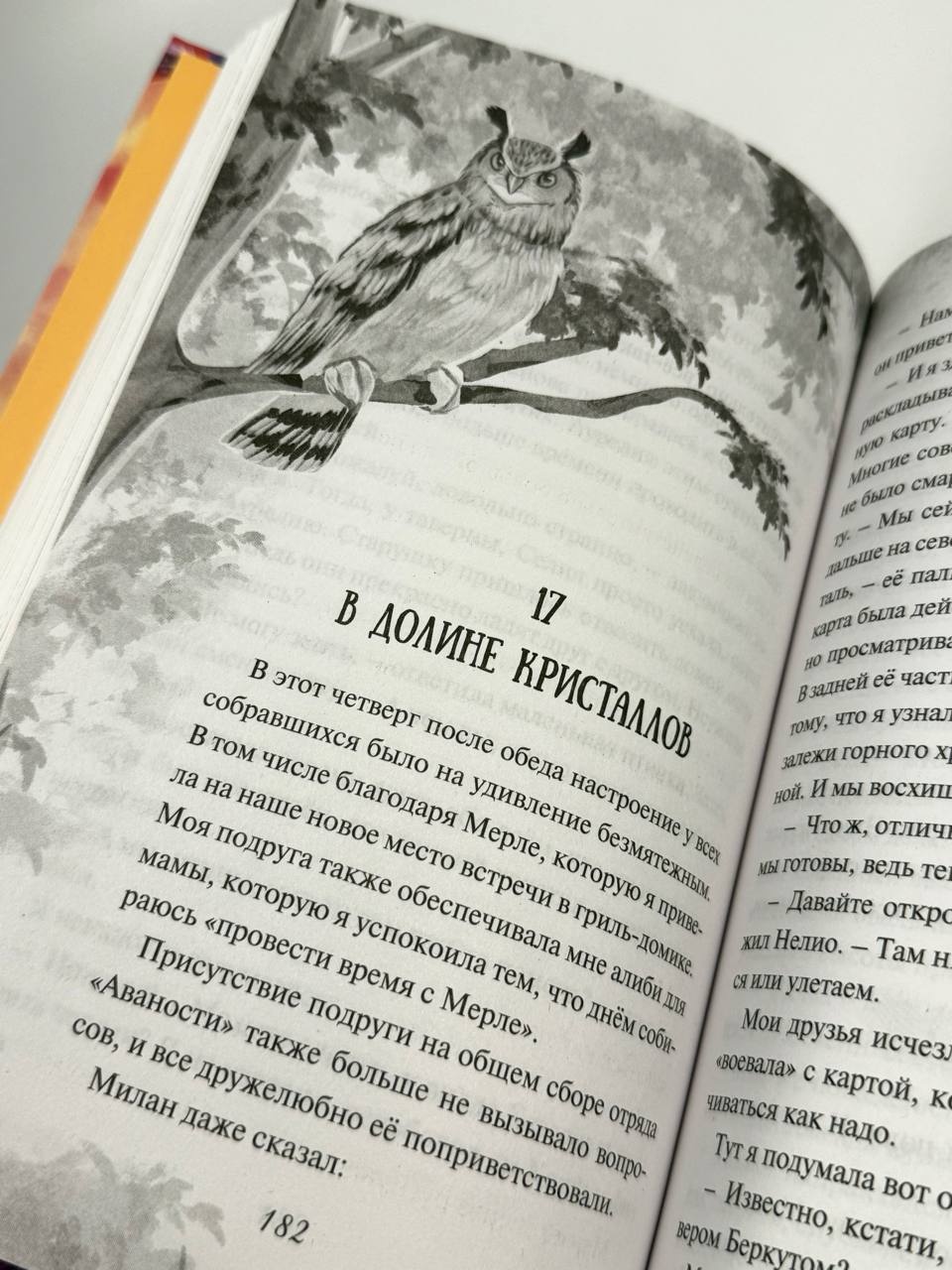 Промо материал к книге "Испытание дружбой" №9