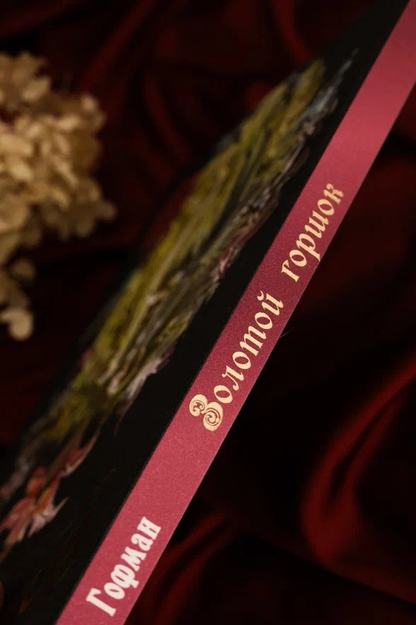 Промо материал к книге "Золотой горшок. Сказка из новых времен" №13