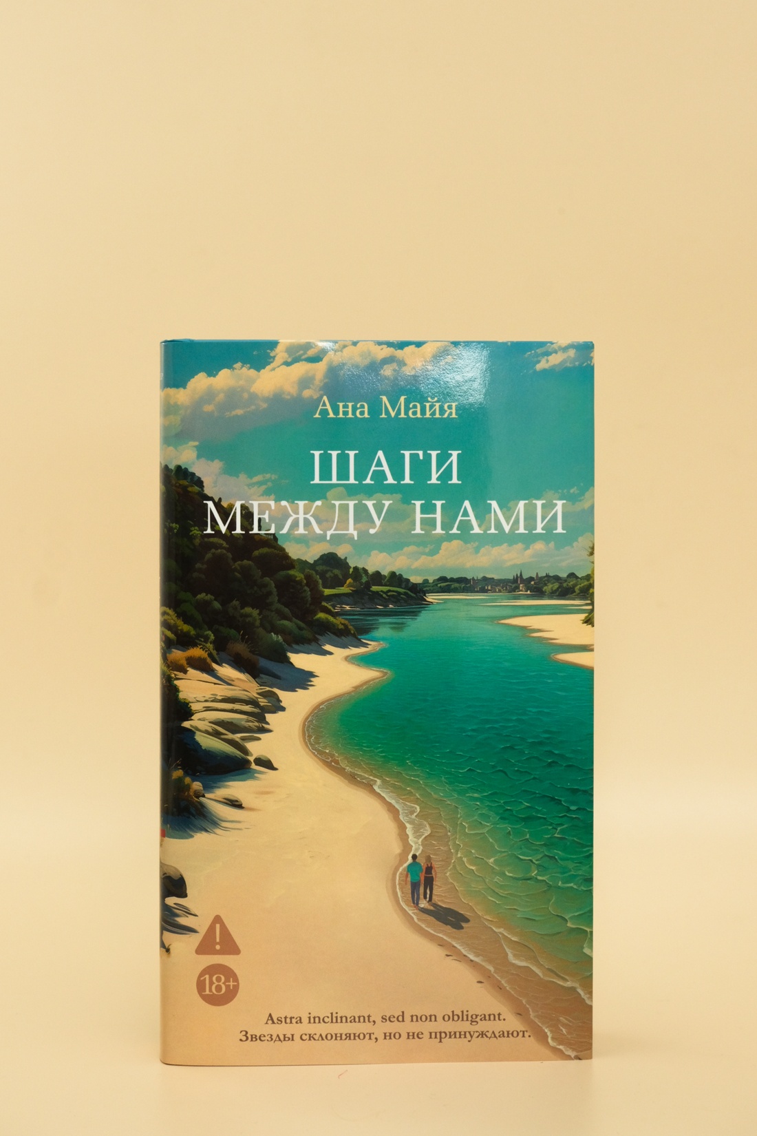 Промо материал к книге "Шаги между нами" №2