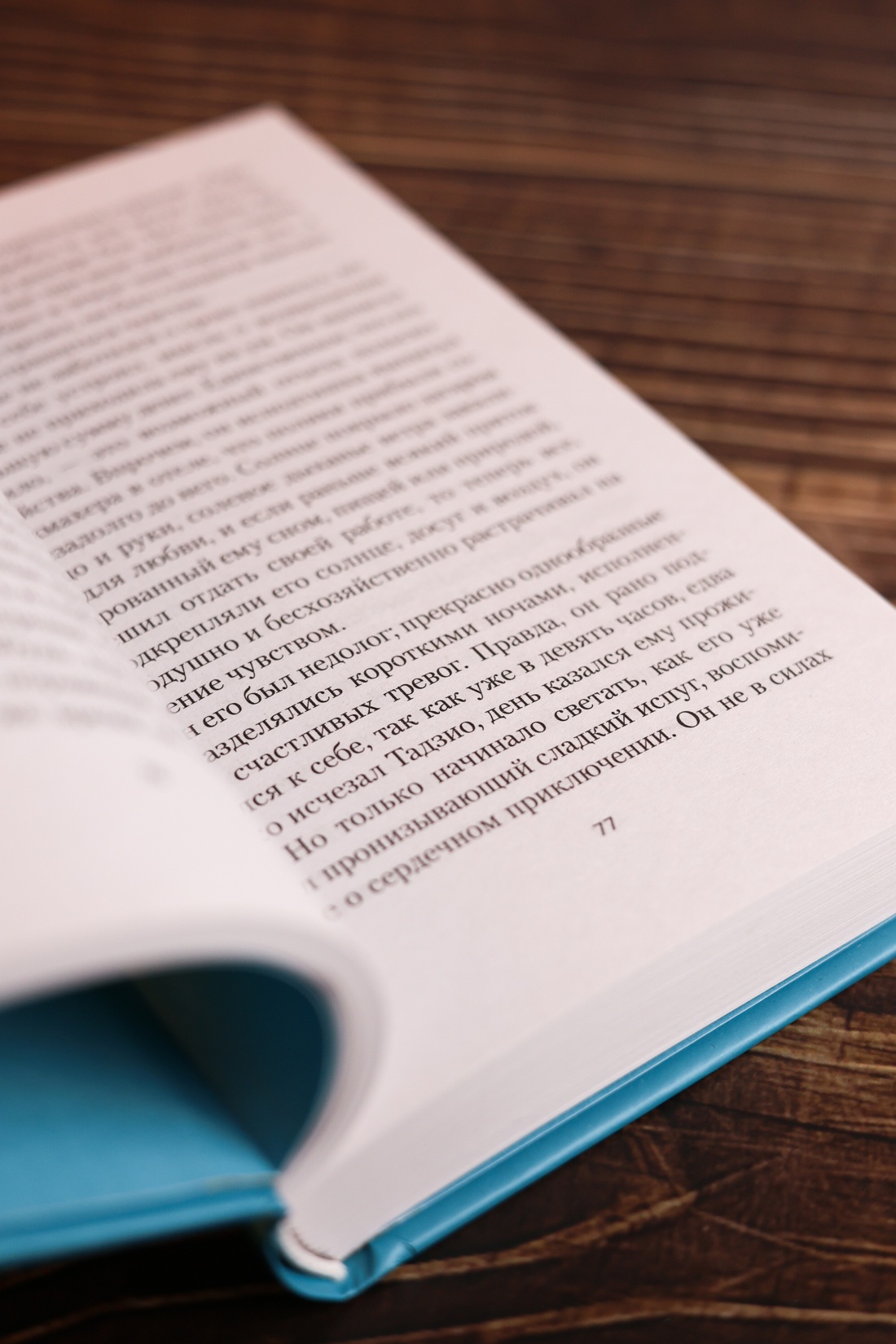 Промо материал к книге "Смерть в Венеции" №8