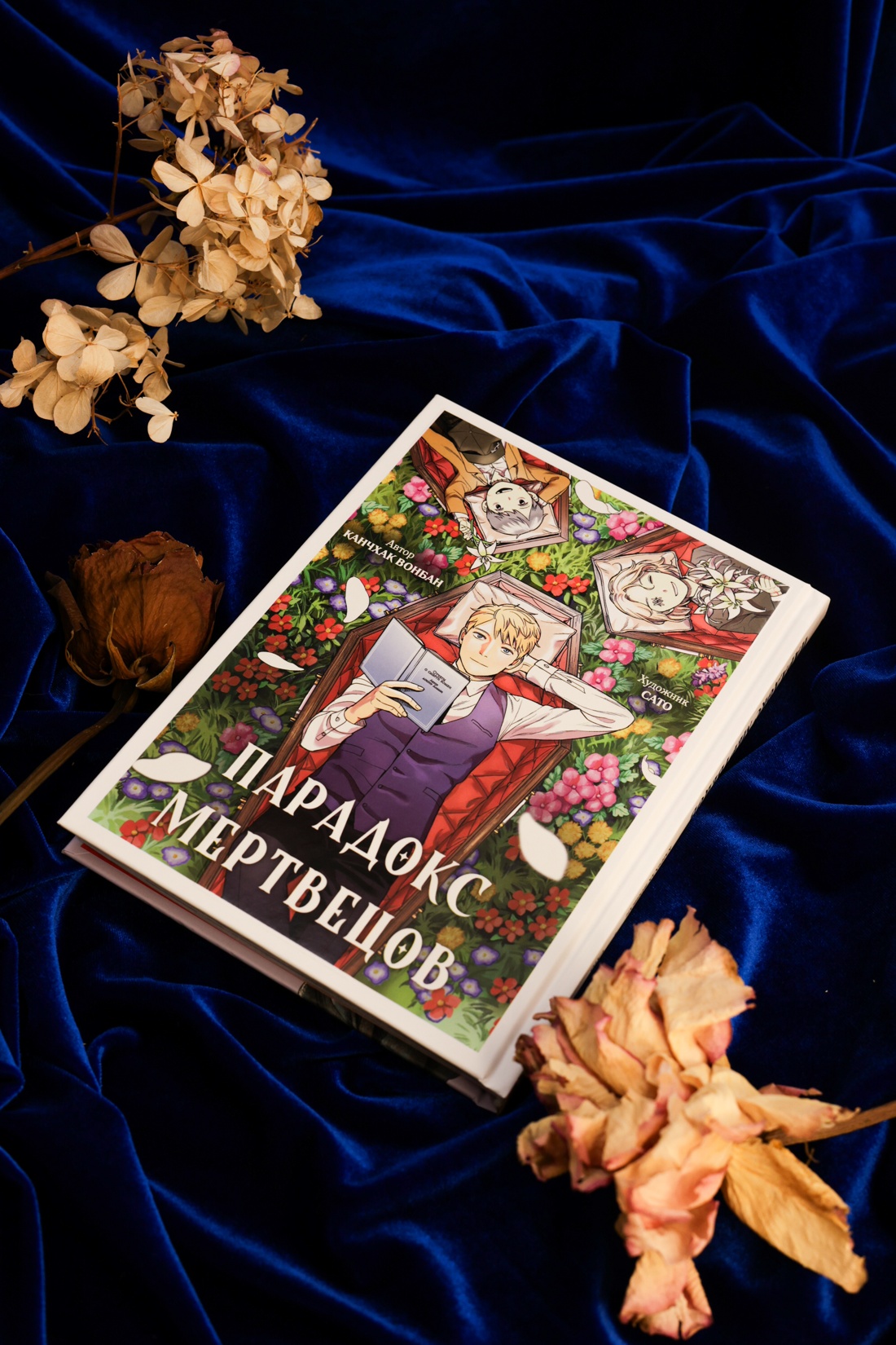 Промо материал к книге "Парадокс мертвецов" №6