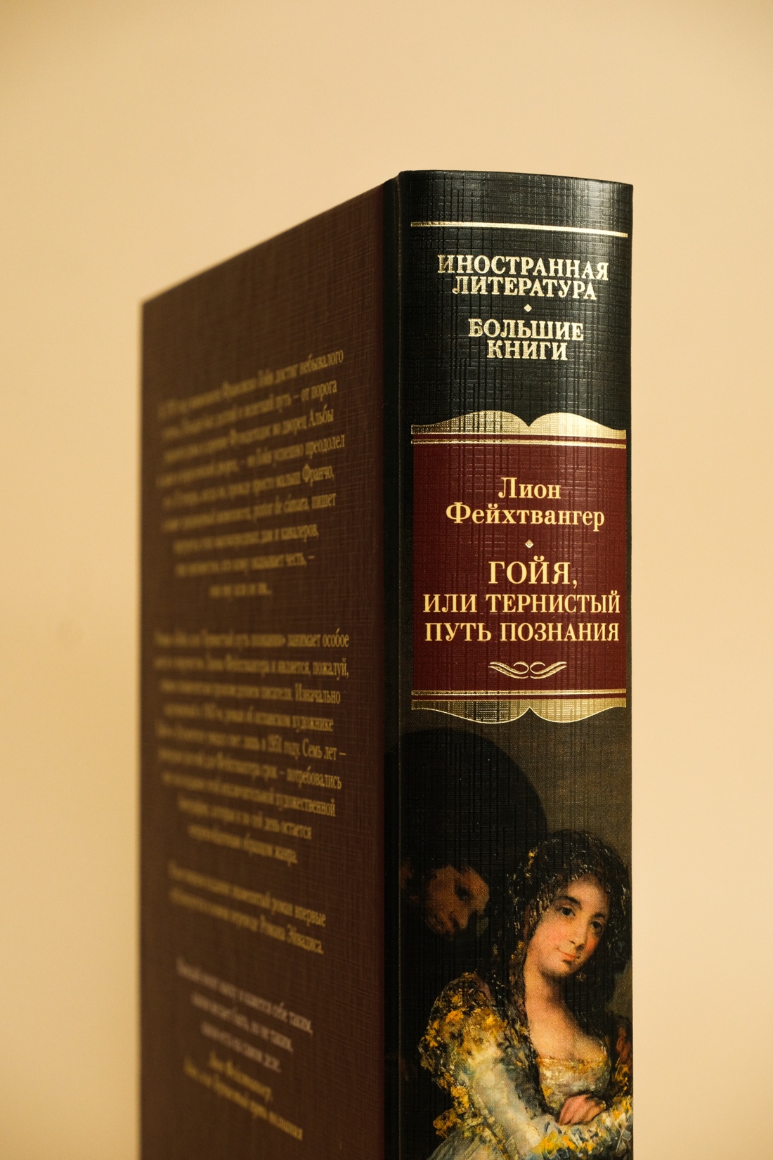 Промо материал к книге "Гойя, или Тернистый путь познания" №4