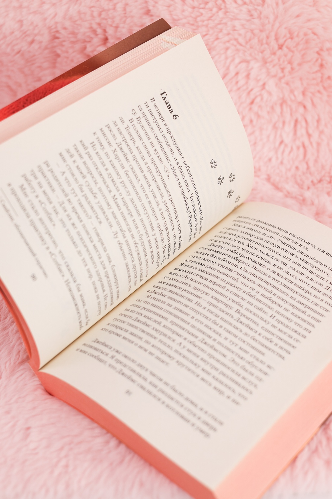 Промо материал к книге "Кошки не ходят на работу" №11