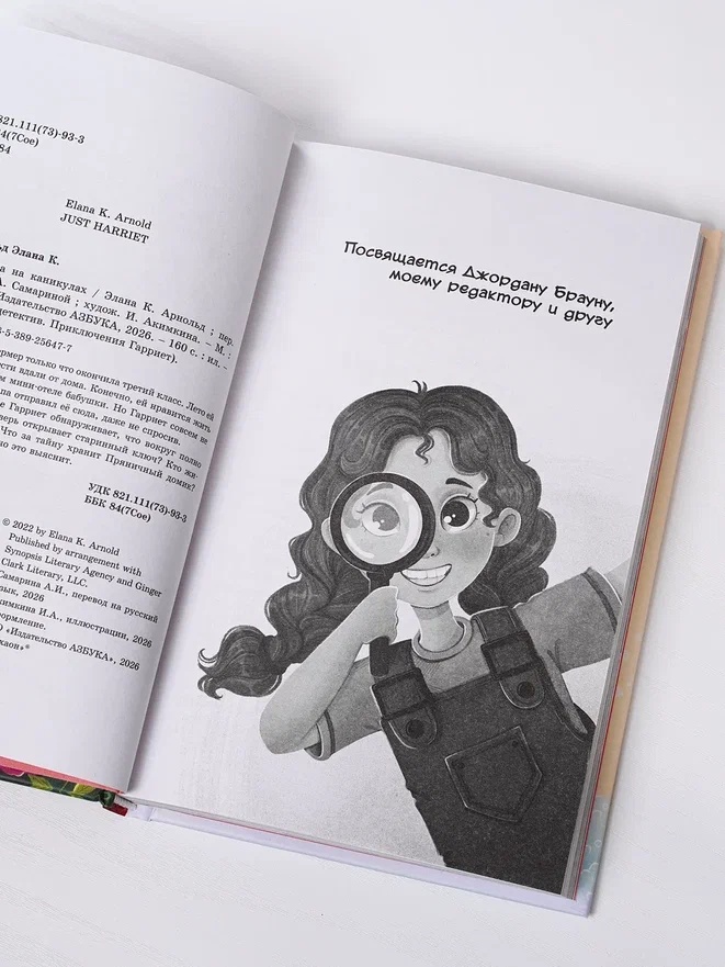 Промо материал к книге "Тайна на каникулах" №6