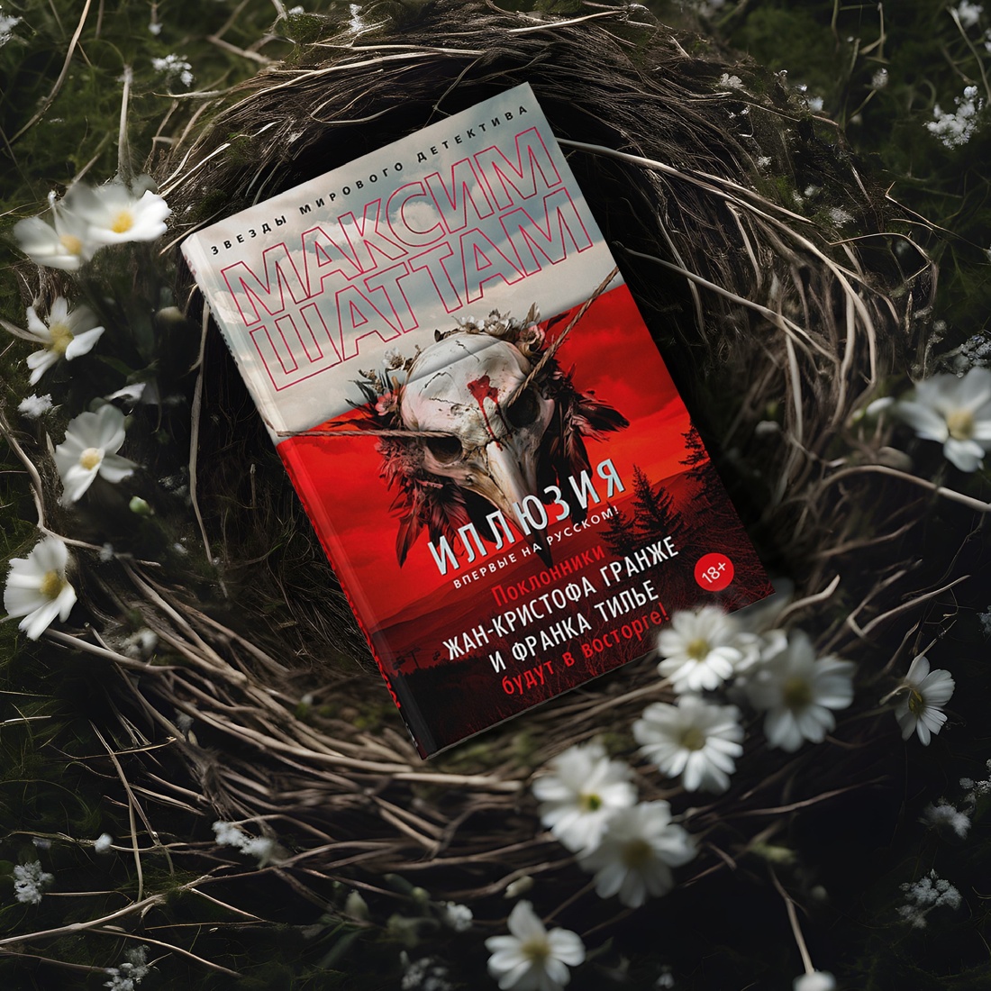 Промо материал к книге "Иллюзия (твердый)" №9