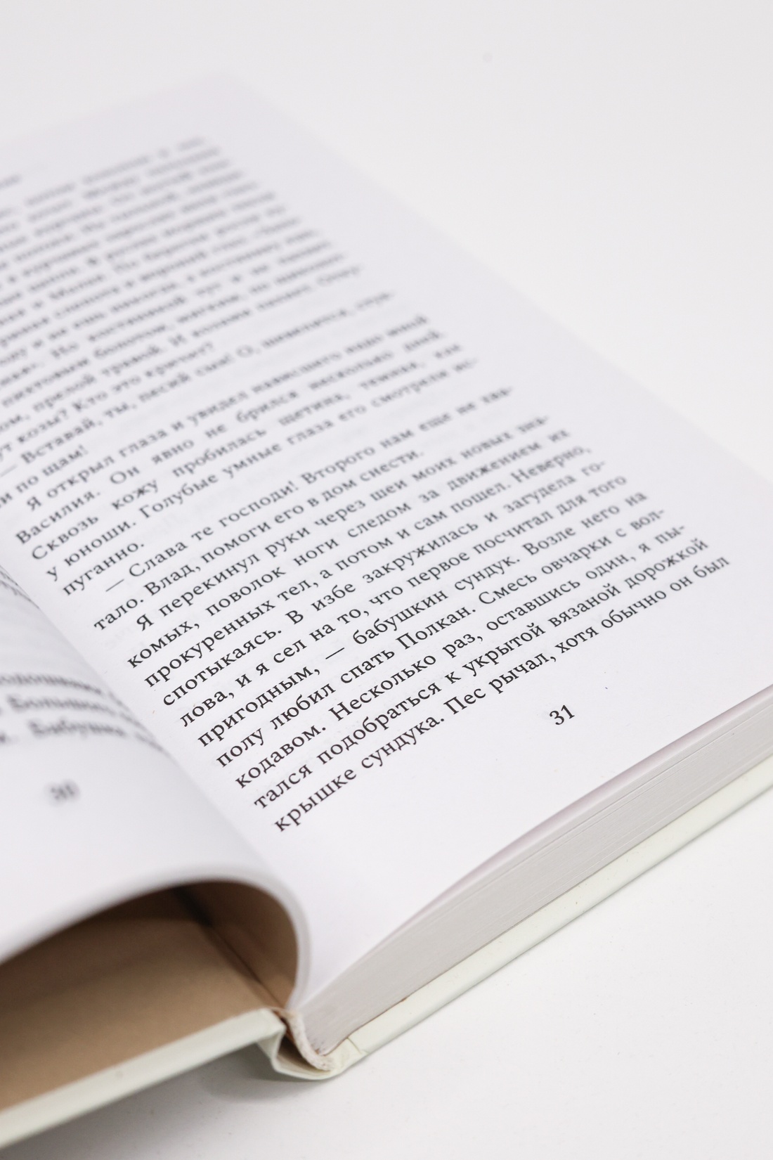 Промо материал к книге "Пыжма" №9