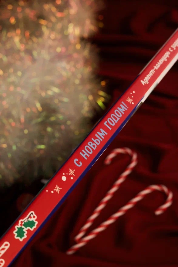 Промо материал к книге "С Новым годом! Адвент-календарь с заданиями" №10