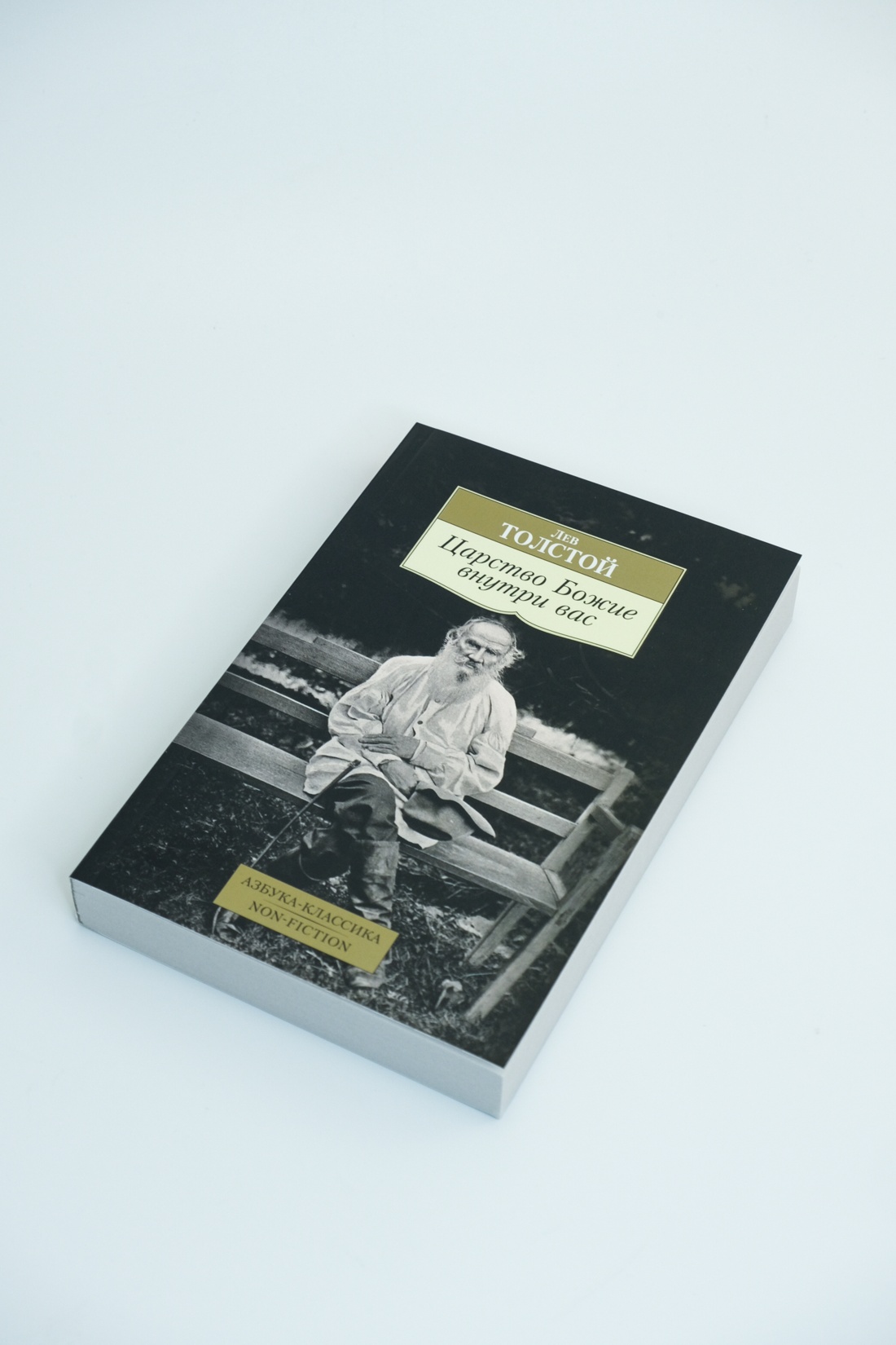 Промо материал к книге "Царство Божие внутри вас" №2