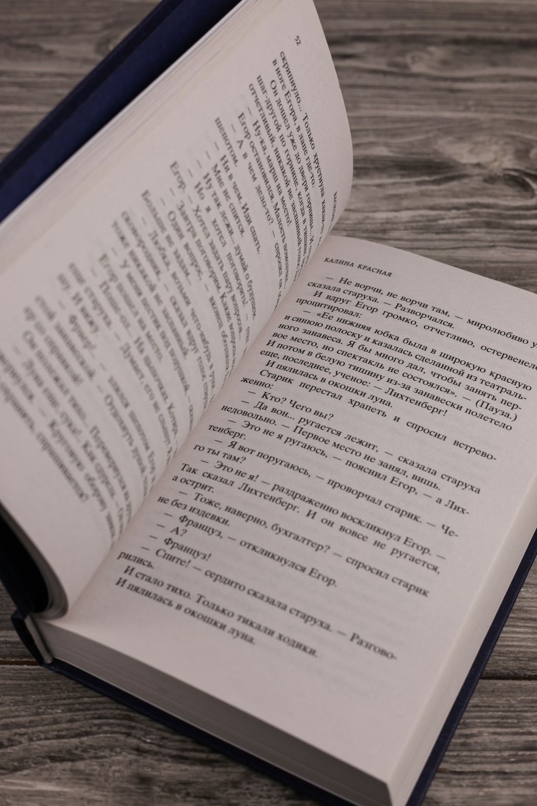 Промо материал к книге "Калина красная (Мировая классика)" №6