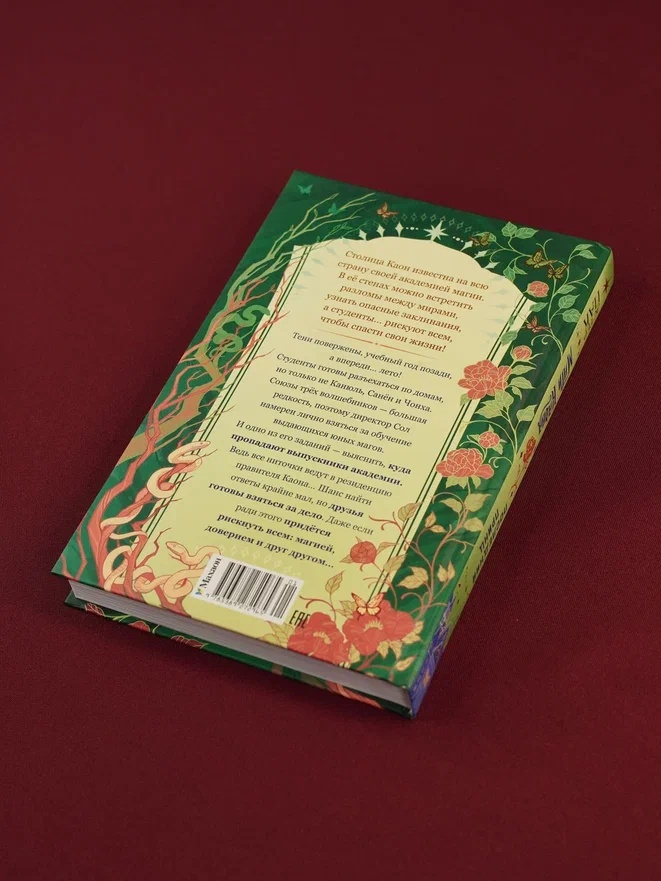 Промо материал к книге "Маги Каона. Последний принц" №14