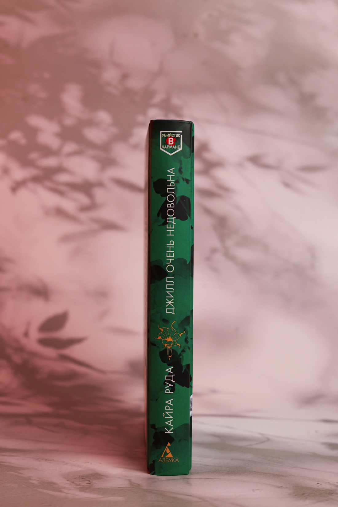 Промо материал к книге "Джилл очень недовольна" №5