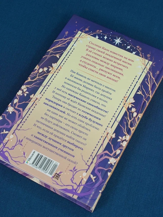 Промо материал к книге "Маги Каона. Академия между мирами" №12