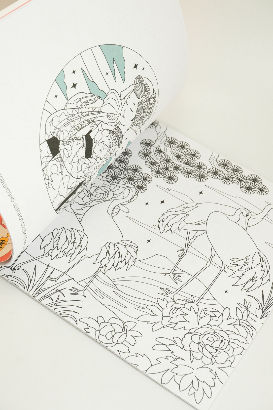 Промо материал к книге "Япония" №7