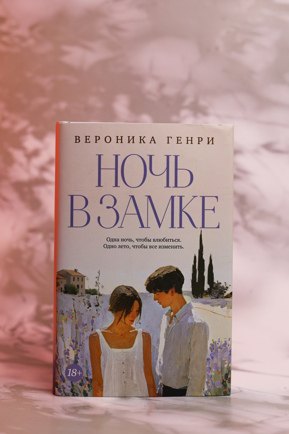 Промо материал к книге "Ночь в замке" №7