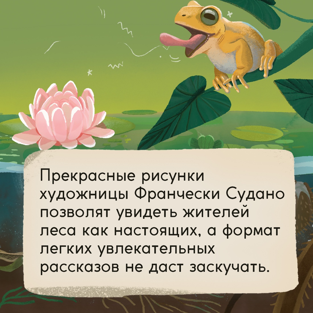 Промо материал к книге "Кто живёт в лесу? Иллюстрированный атлас животных" №5