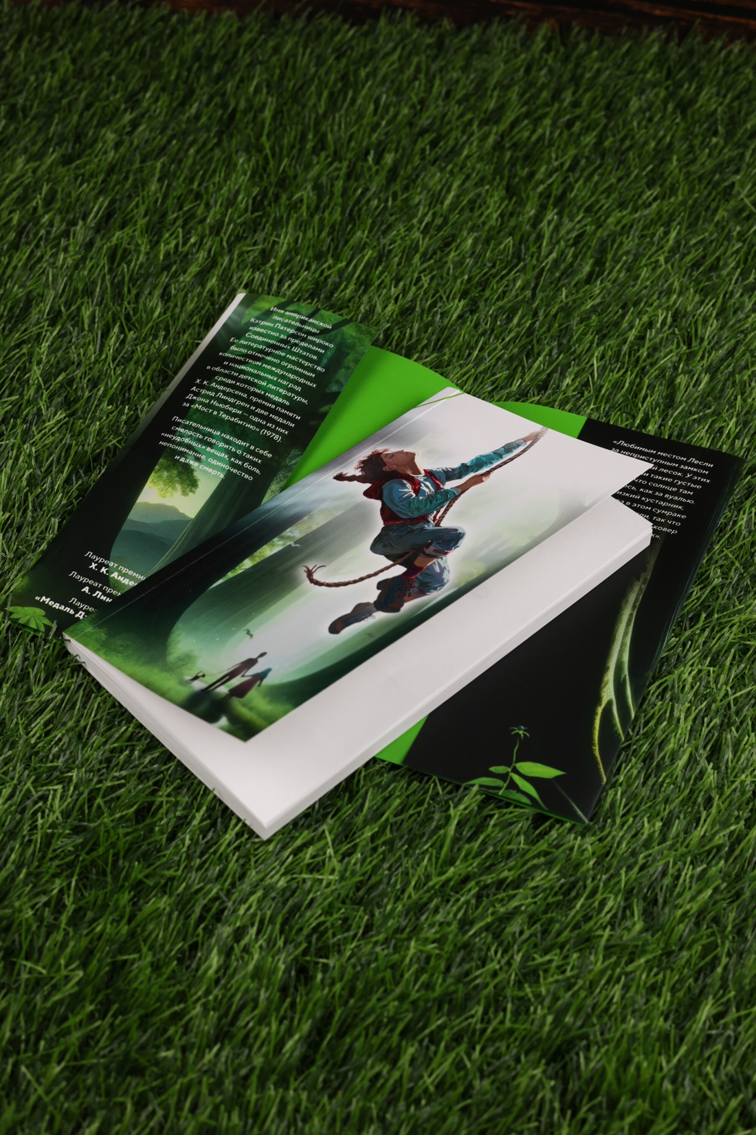 Промо материал к книге "Мост в Терабитию (мягкая обложка)" №9