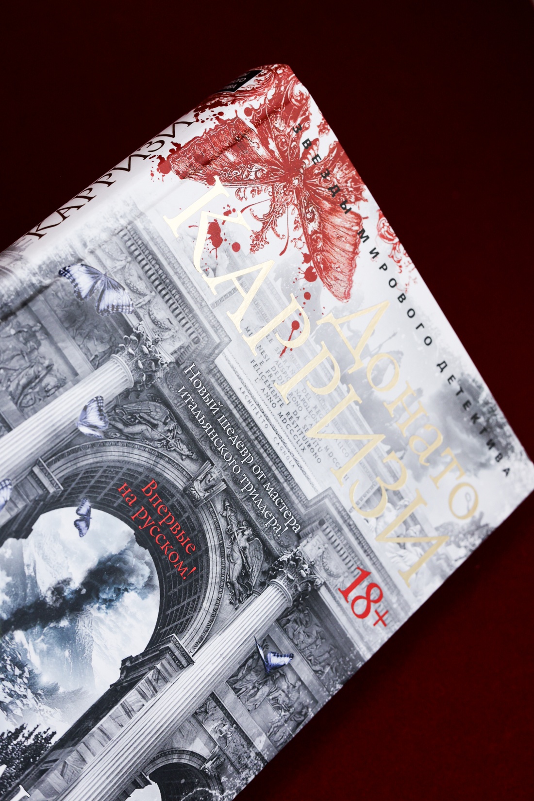 Промо материал к книге "Воспитание бабочек" №8