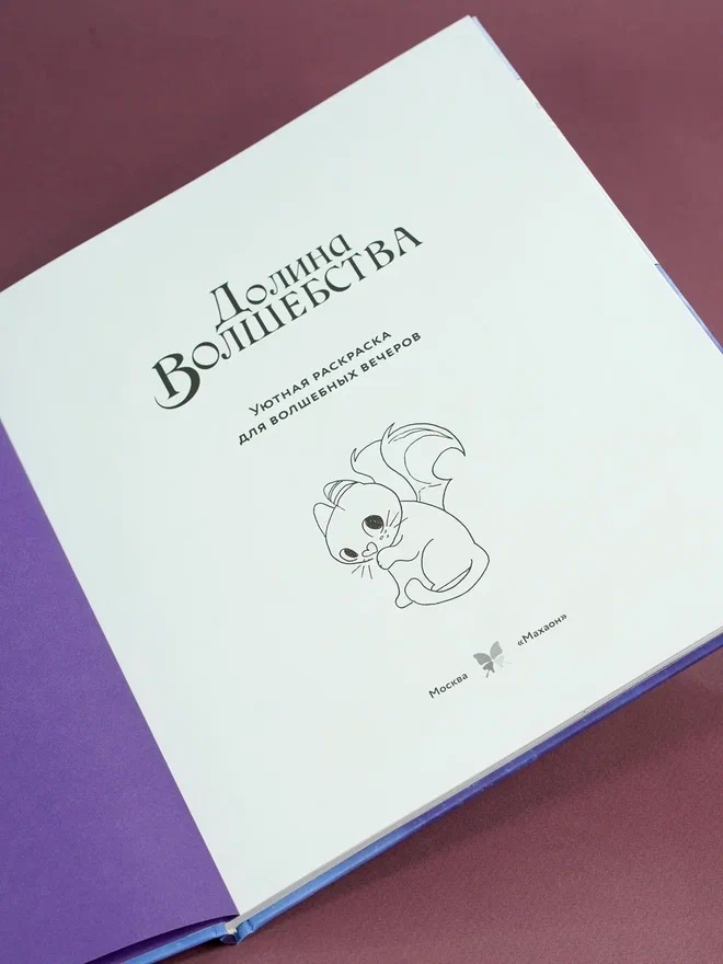 Промо материал к книге "Долина волшебства" №5