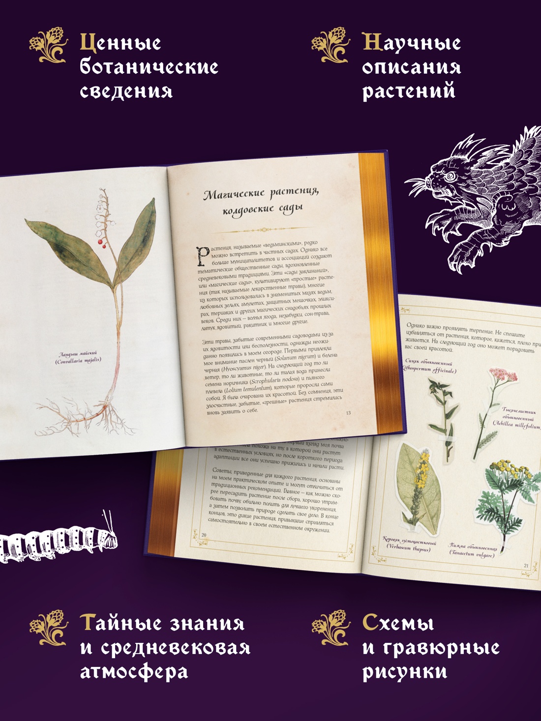 Промо материал к книге "Маленький гримуар ведьмы. Зелья и волшебные травы" №1