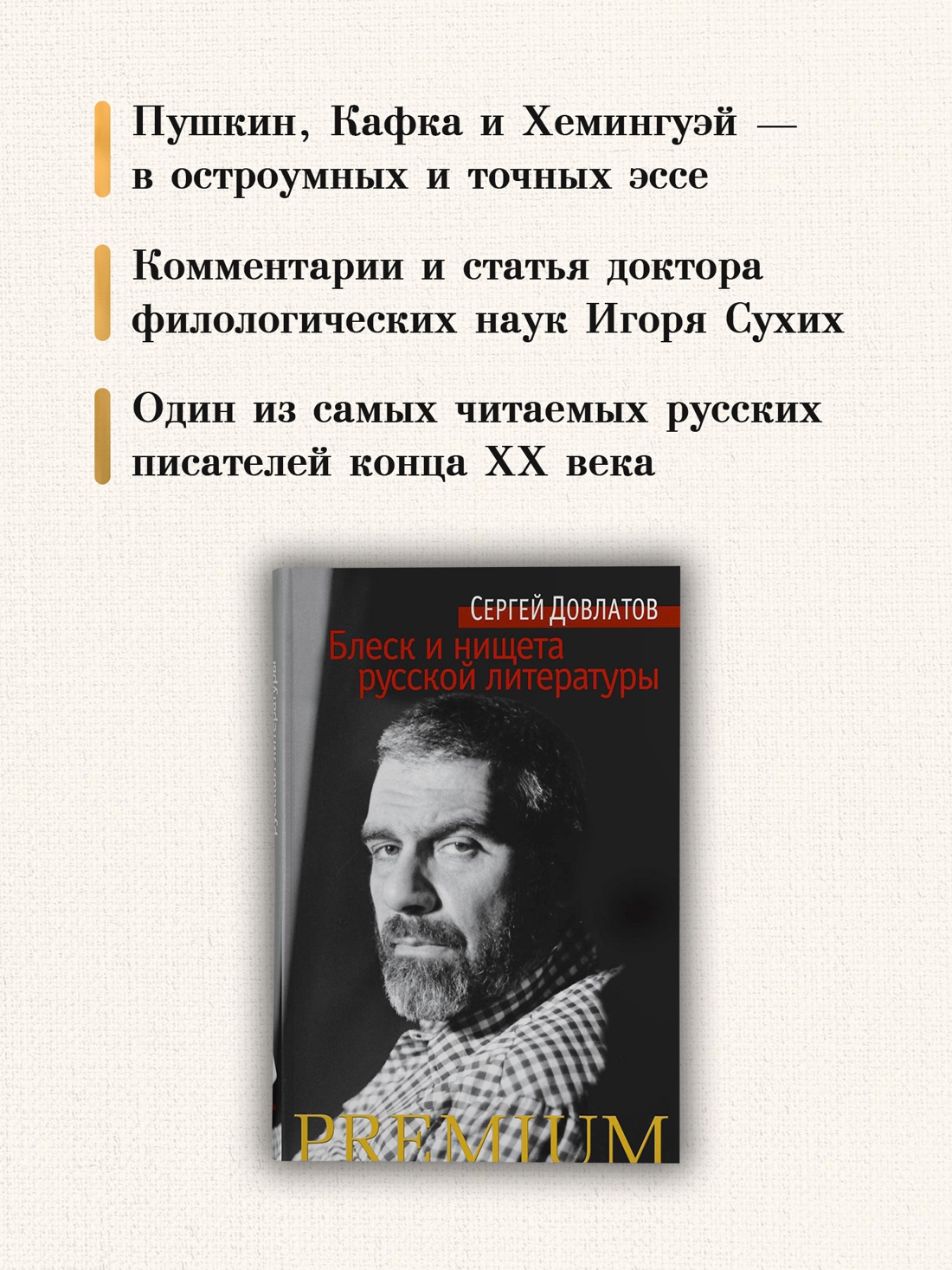 Промо материал к книге "Блеск и нищета русской литературы (Азбука Premium (мини))" №2
