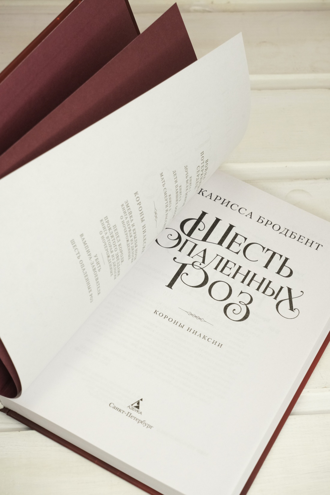 Промо материал к книге "Шесть опаленных роз" №9