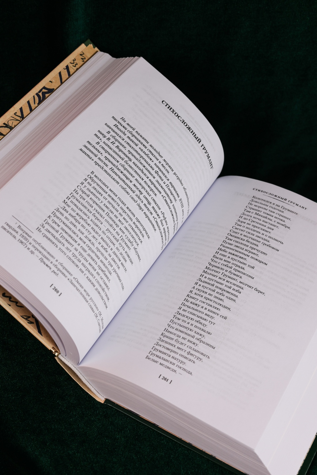 Промо материал к книге "Северное сердце" №11