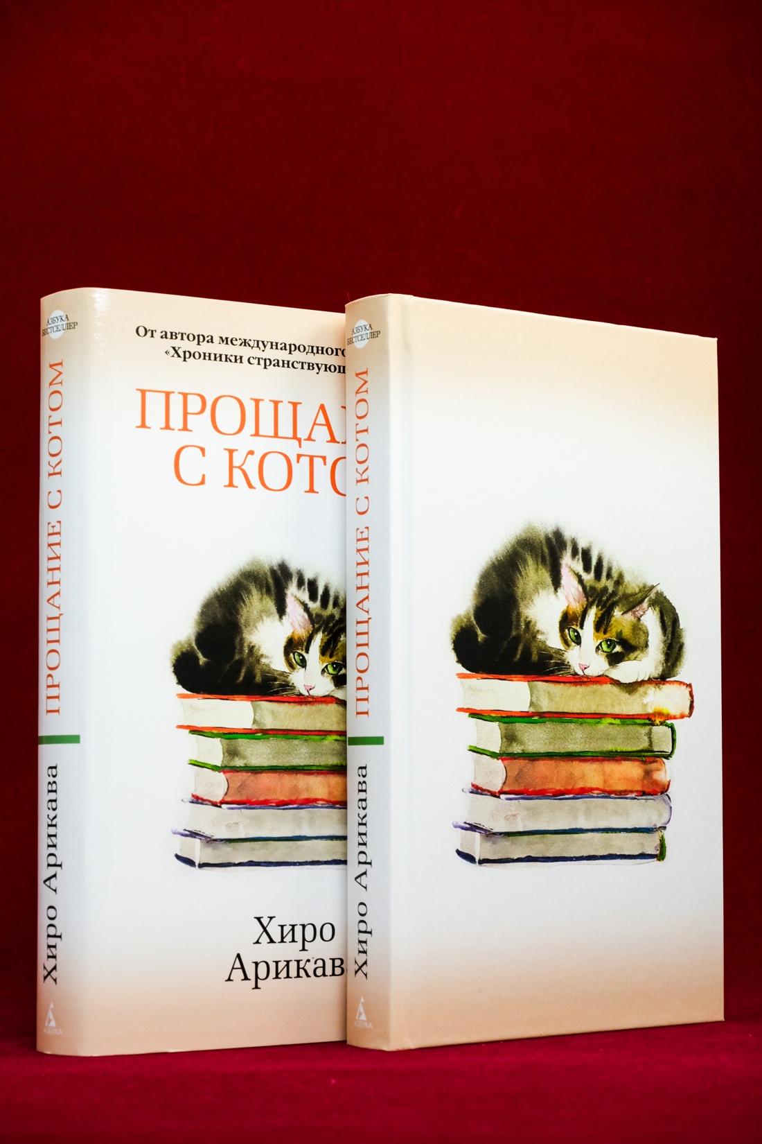 Промо материал к книге "Прощание с котом" №9