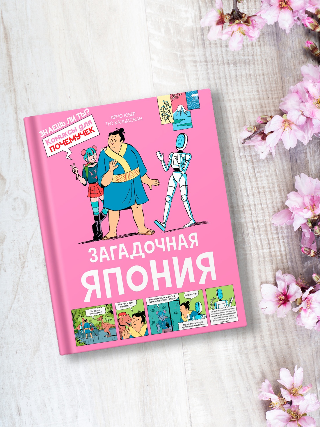 Промо материал к книге "Загадочная Япония" №4