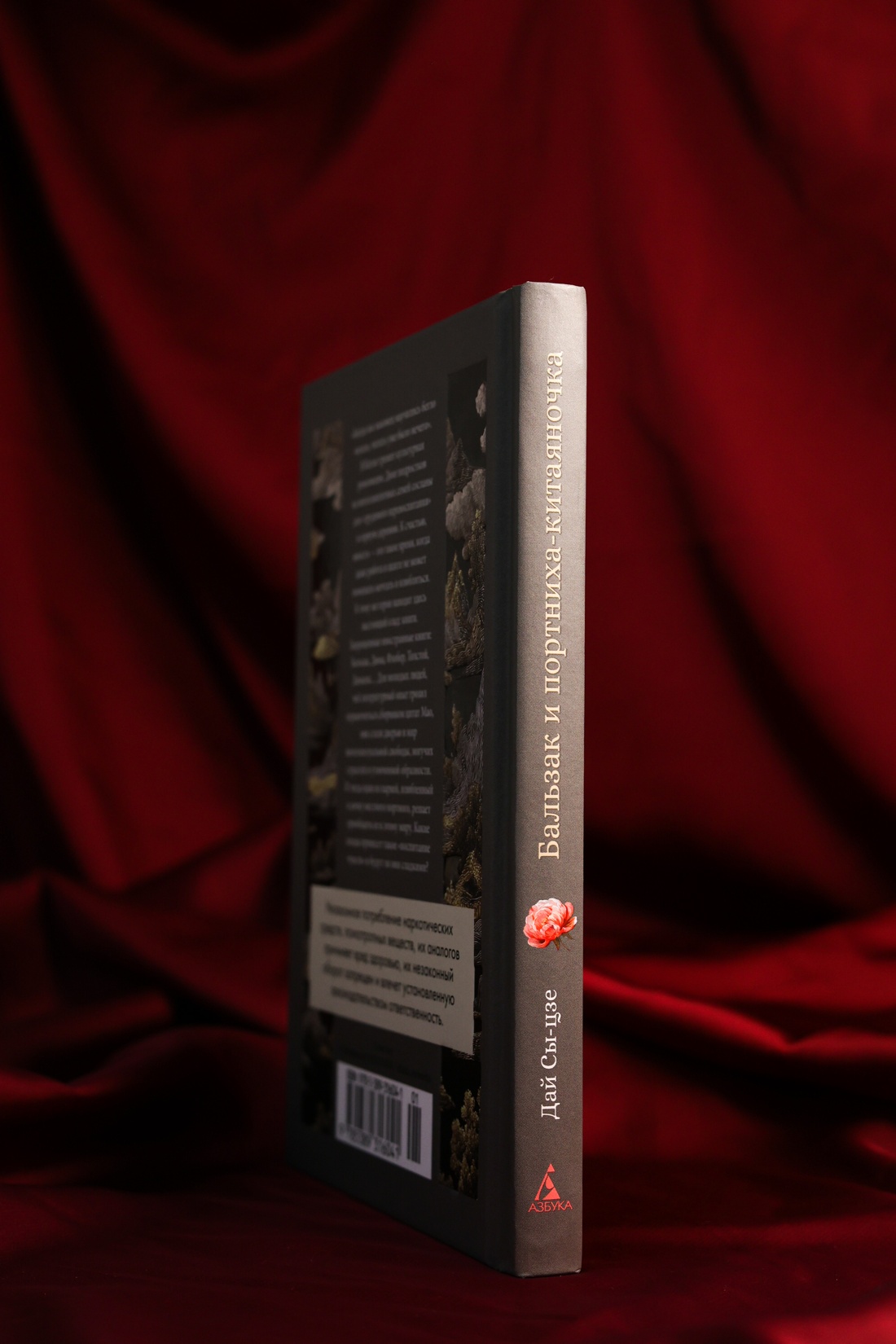 Промо материал к книге "Бальзак и портниха-китаяночка" №4