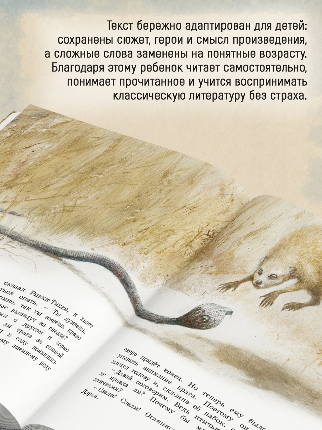 Промо материал к книге "Рикки-Тикки-Тави (илл. Роберт Ингпен и др.)" №1