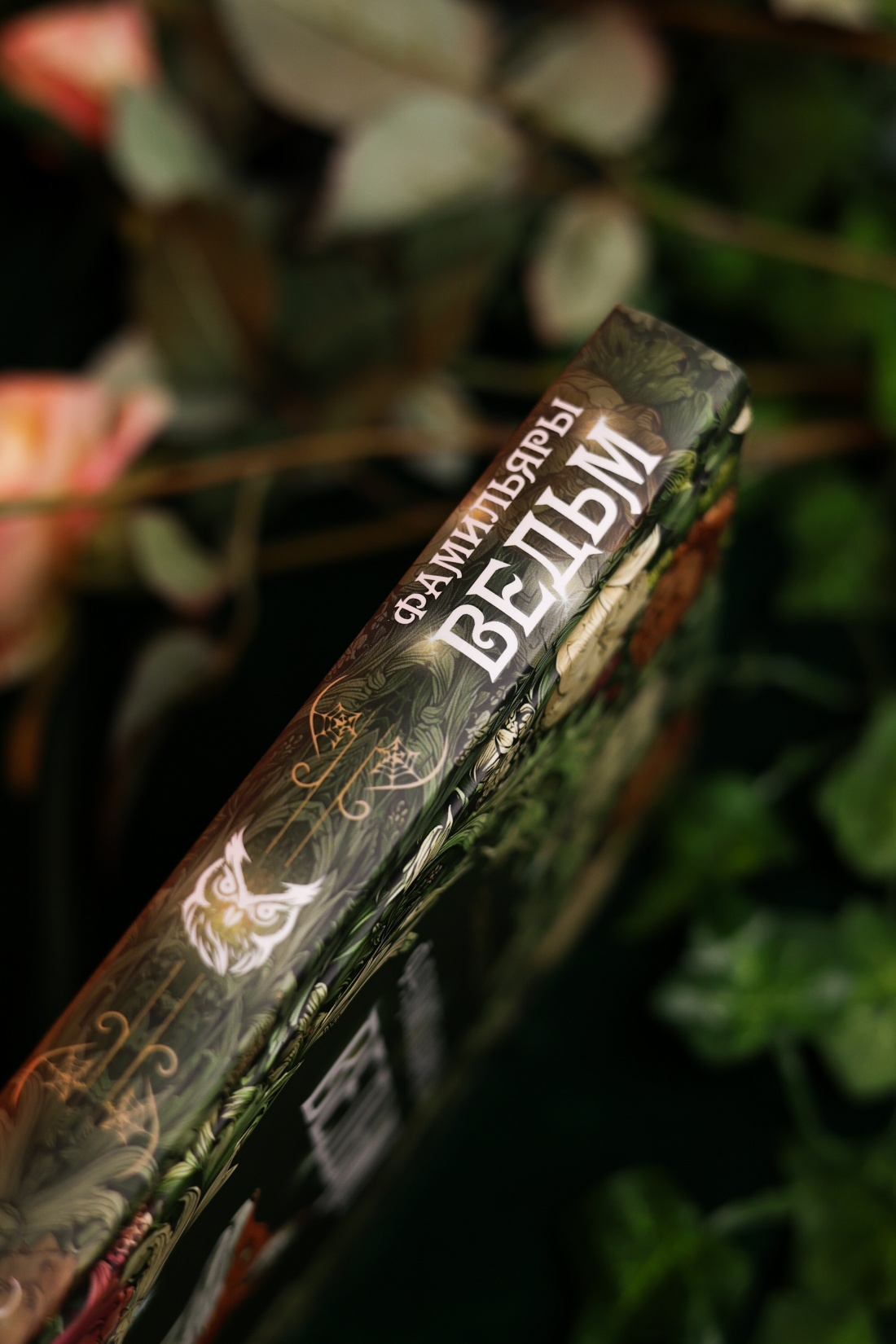 Промо материал к книге "Фамильяры ведьм" №8