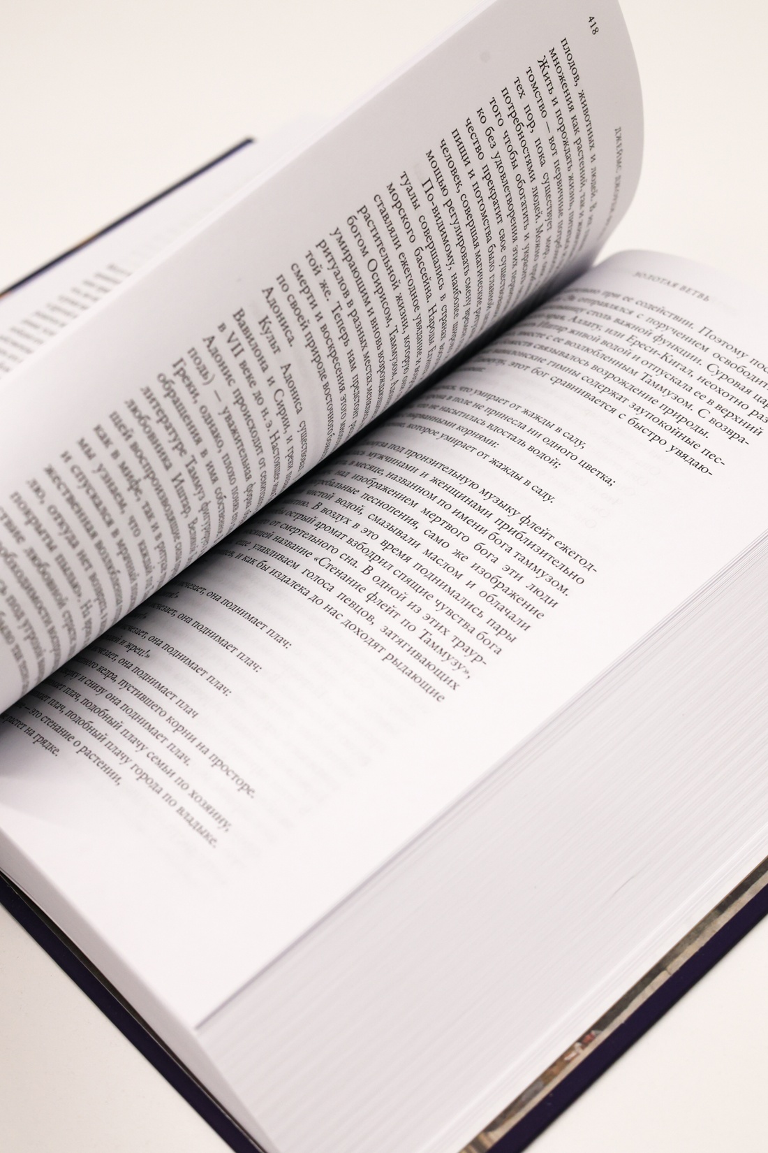 Промо материал к книге "Золотая ветвь: Исследование магии и религии" №10