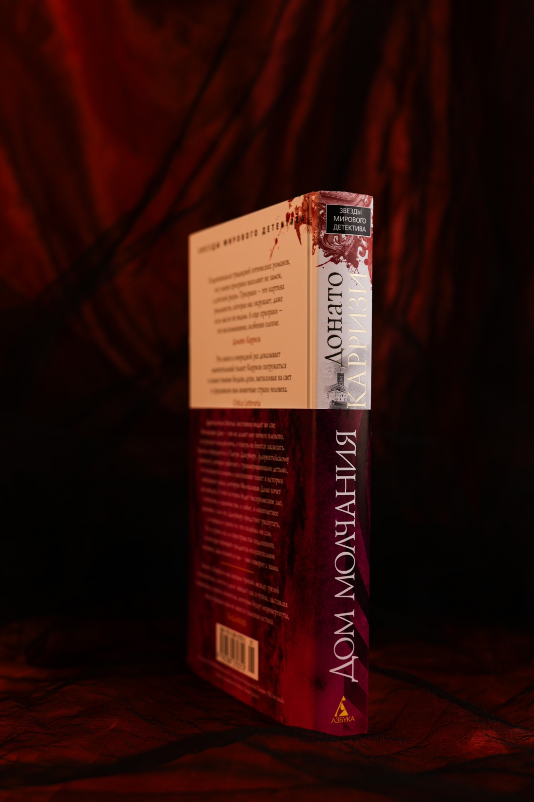 Промо материал к книге "Дом молчания" №5